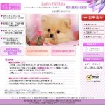 レディースフタバの特徴と借り方